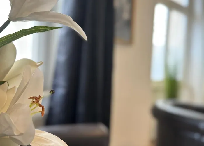 Theaterstrasse - 3 Schlafzimmer - 5 Betten - Gratis Pkw Stellplatz - Smarttv Daire